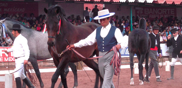 Feria Internacional del Caballo en Texcoco